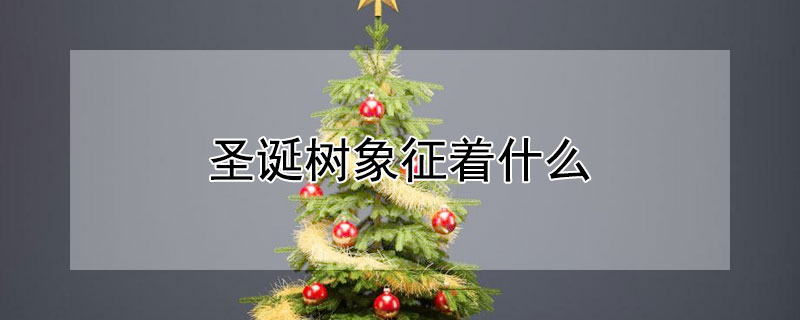 ʥʲôʲôʥʲôԢ⣿