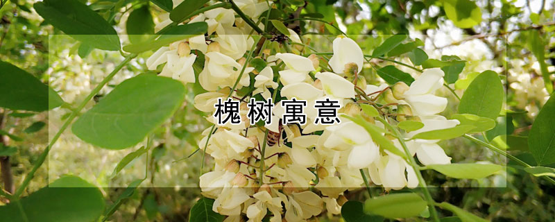 Щ壿