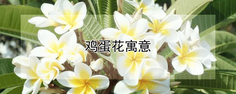 ԢЩ壿