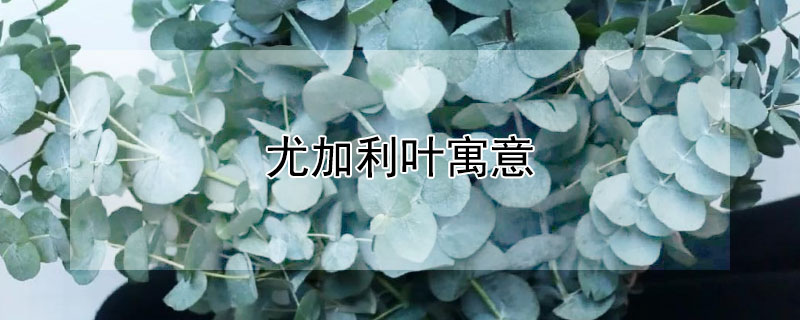 ȼҶԢȼҶЩ壿