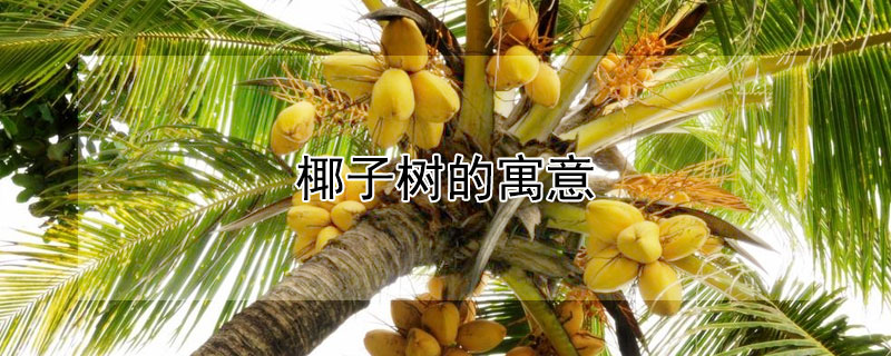 ҬԢҬЩ壿