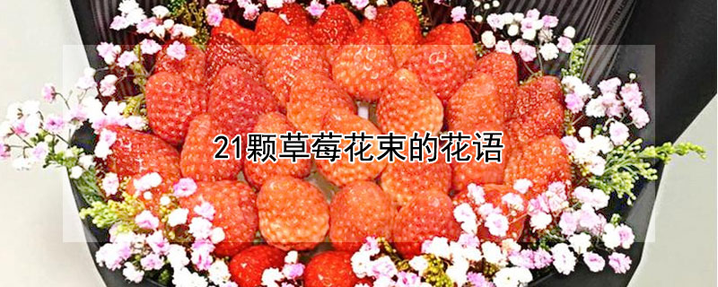 21ŲݮĻ21ŲݮĻʲô
