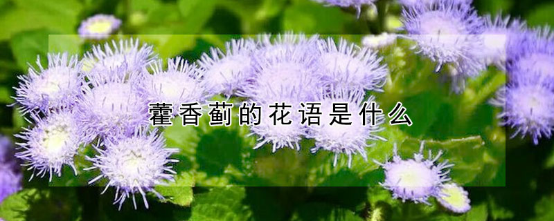 ޽㼻Ļʲôʺ͸ʲôˣ