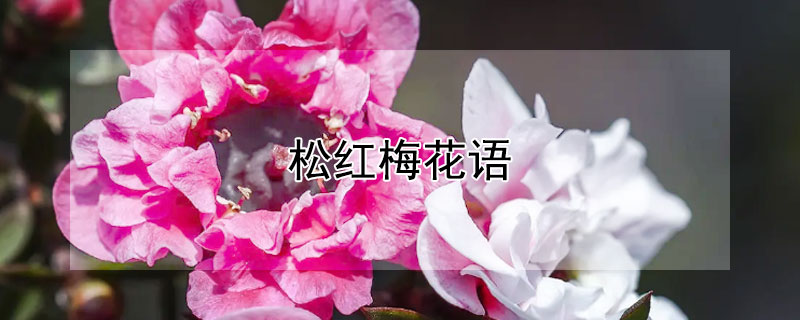 ɺ÷ɺ÷Щ壩