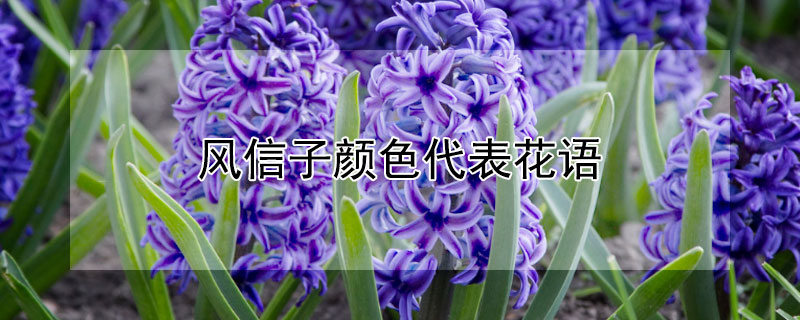 ͬɫķӴЩԢ⣩