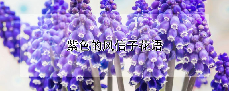 ɫķӻɫķЩԢ⣩