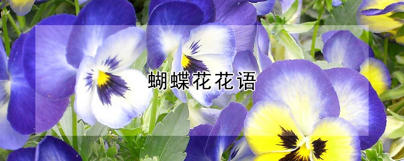 ĻʲôԢ⣩