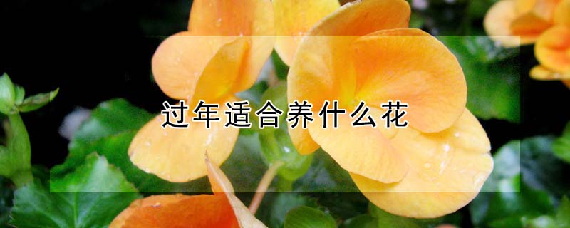ʺʲôȽϺã