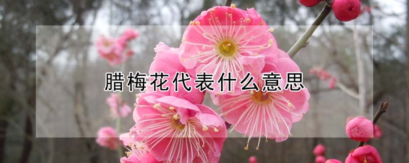 ÷ʲô˼÷Ԣ⣩