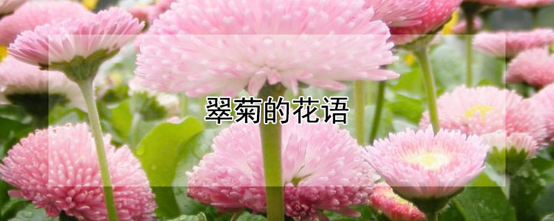 յĻյԢ