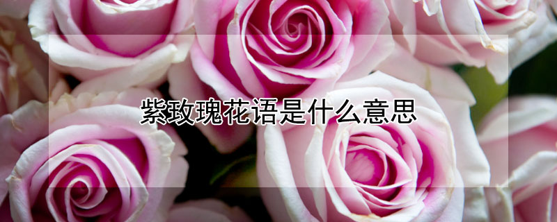 õ廨ʲô˼õЩԢ⣩