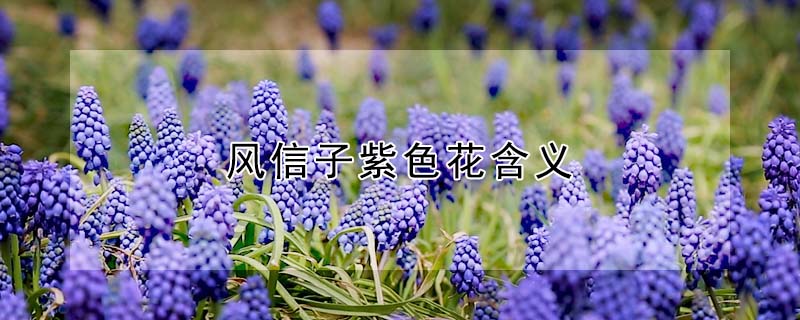 ɫ壨ɫʲôԢ⣩