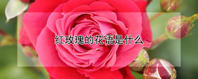 õĻʲôõ廨Щ壩