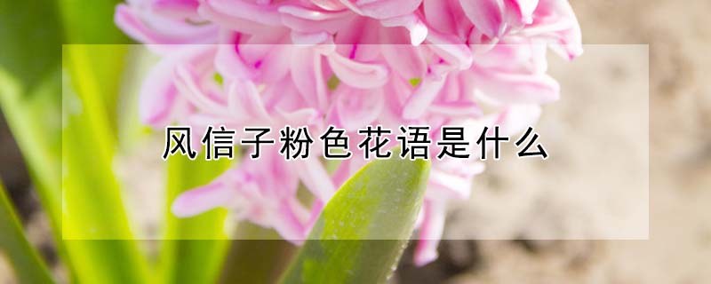 ӷɫʲôӷɫԢ⣩