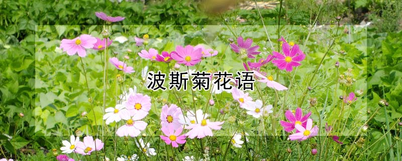 ˹յĻ˹ʲôԢ⣩