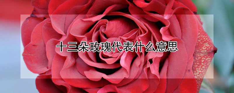 ʮõʲô˼ʮõЩ壿
