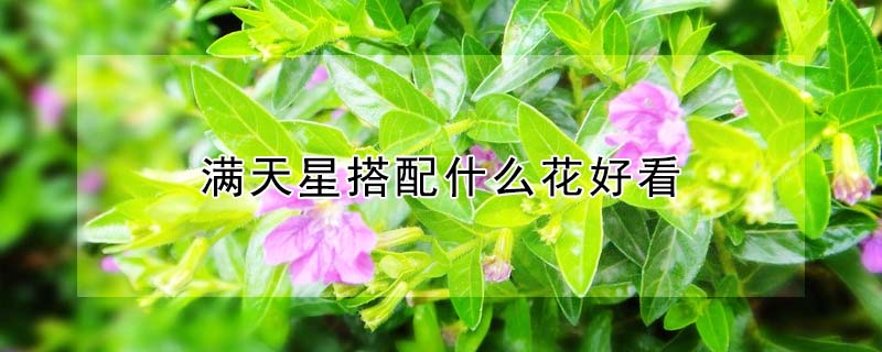 Ǵʲôÿʲô壿
