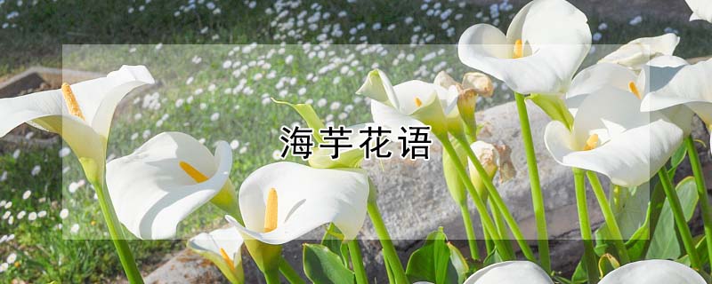 Ļﺬ壨ʲôԢ⣩