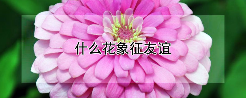 ʲô꣨Щ䣩