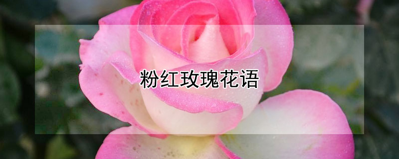 ۺõĻۺõЩԢ⣩