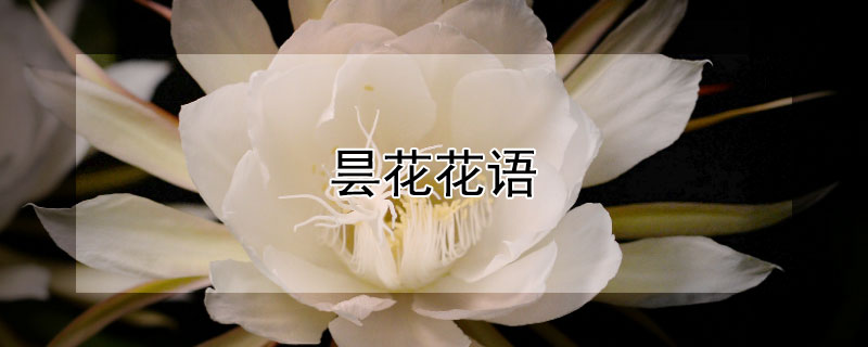 꼻Ļʲô꼻Ԣʲô