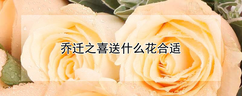 Ǩ֮ϲʲô