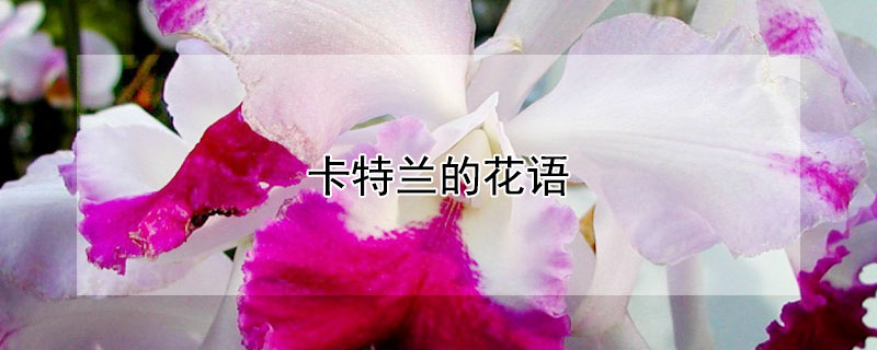 ĻЩ壿