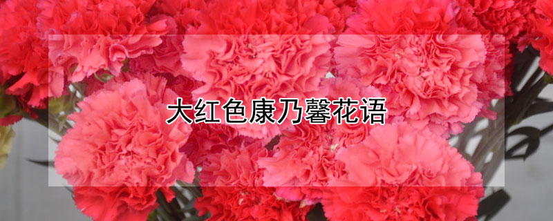ɫܰɫܰЩԢ