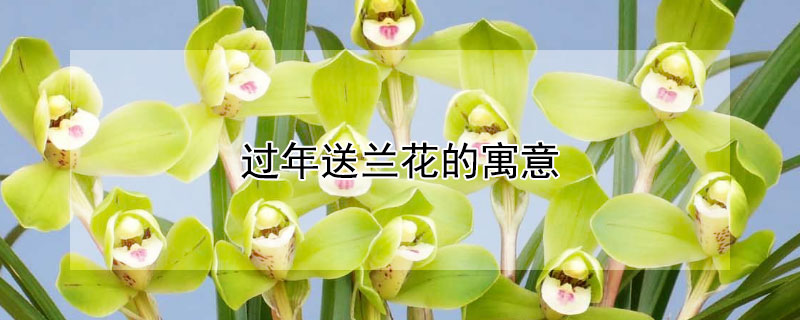 Ԣ⣬Щ壿