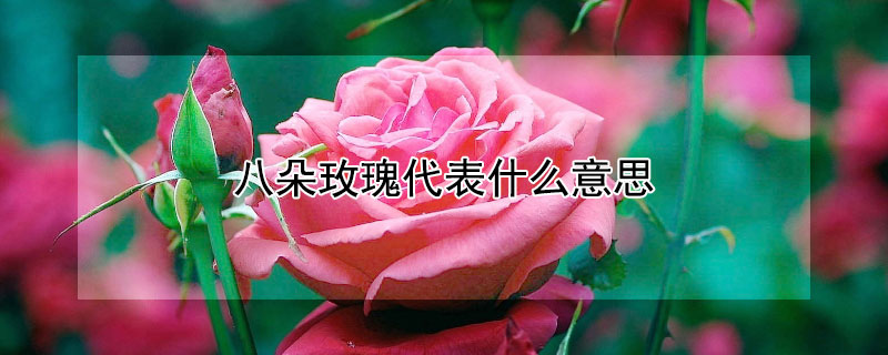 ˶õʲô˼˶õԢ
