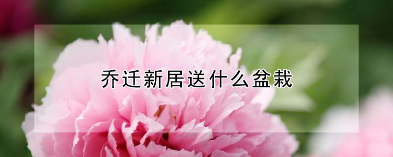 Ǩ¾ʲôԣǨ¾Щԣ