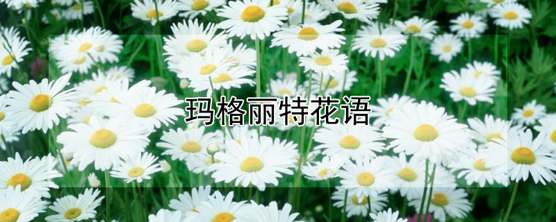 ػЩԢ⣿