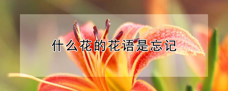 ʲôĻǵ˼