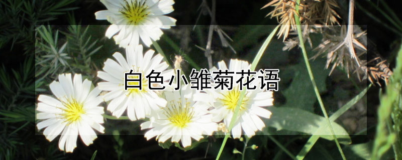 ɫСջɫСյԢ