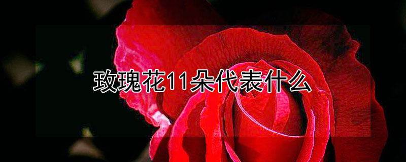 õ廨11ʲô11õ廨ʲôԢ⣿