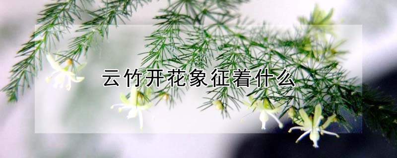񿪻ʲô񿪻Щ壩