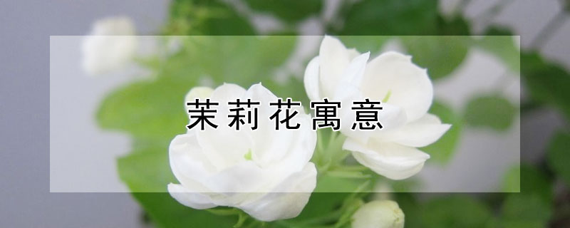 ЩԢ⣿