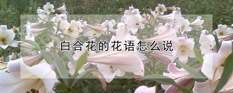 ׺ϻĻô˵׺ϻʲôԢ⣩