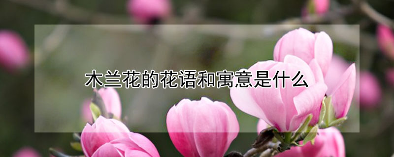 ľĻԢʲôľĺ壩