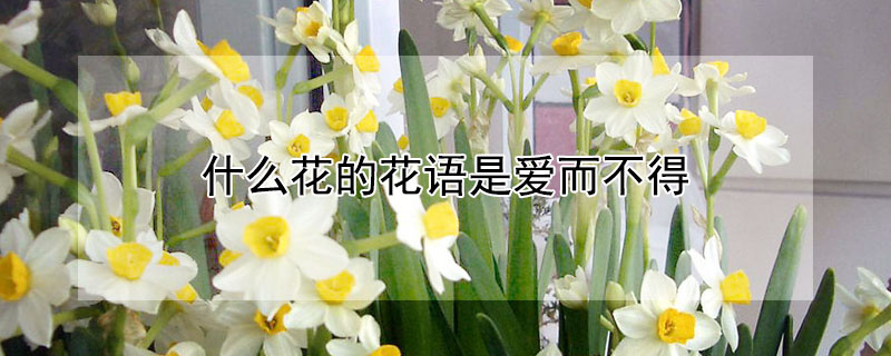 ʲôĻǰãЩĻǰã