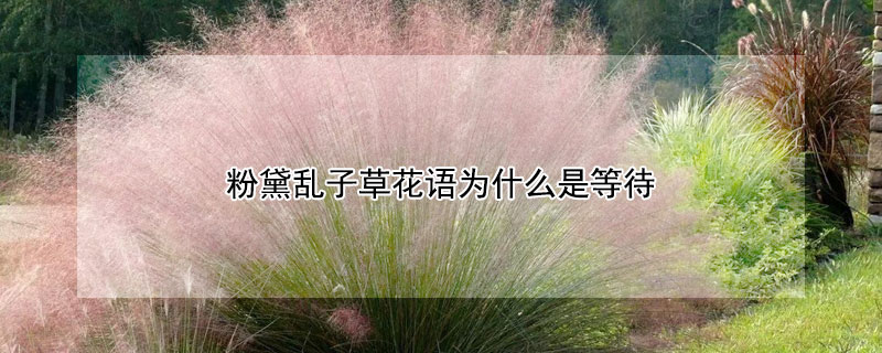 ӲݻΪʲôǵȴӲݻǵȴԭ