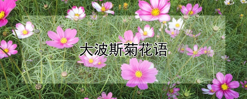 ˹ջﺬʲô˹ʲôԢ⣿