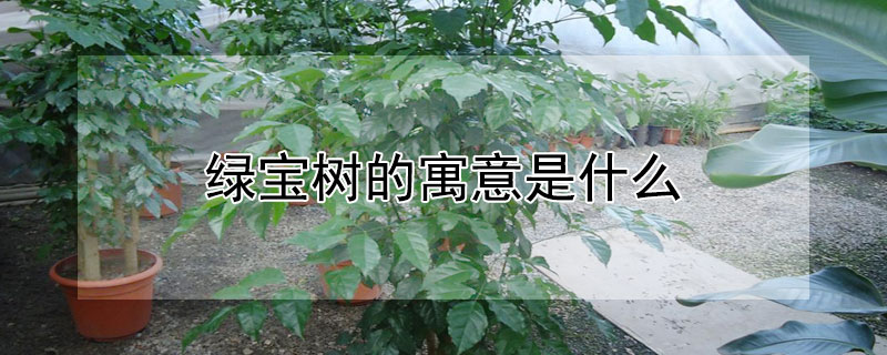 ̱Ԣʲô