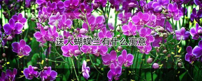 ˺ʲôԢ⣿ʲô壿