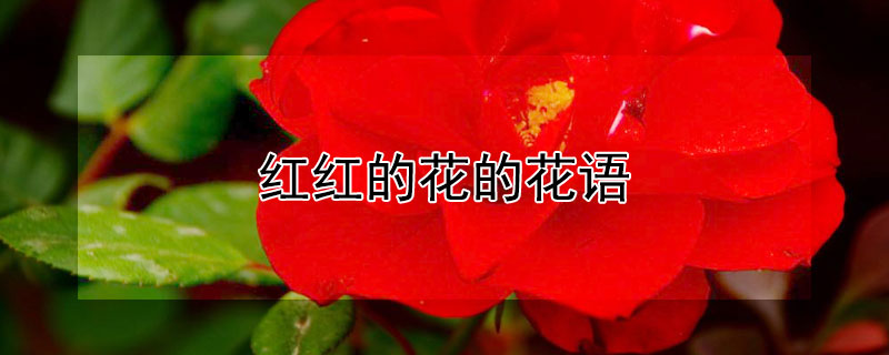 ĻĻ