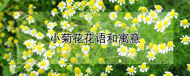 СջԢ