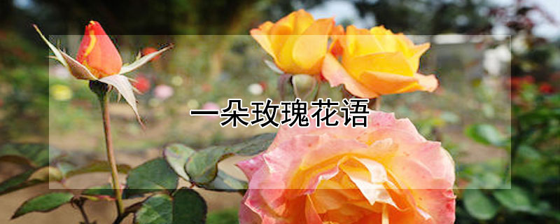 һõ廨ﺬһõʲôԢ⣿