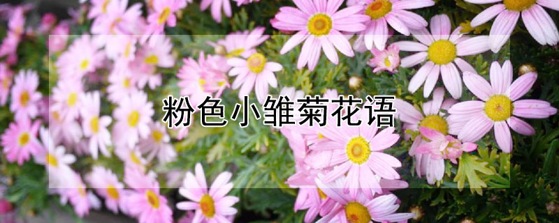 ɫСջʲôɫСյԢ