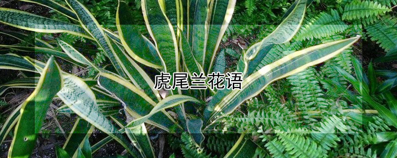 βʲôβʲôԢ⣿