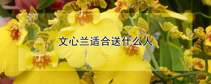 ʺʲôˣЩ壿